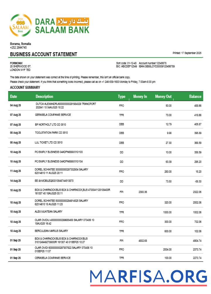 Blank Somali Dara Salaam Bank firm account statement Word and PDF template